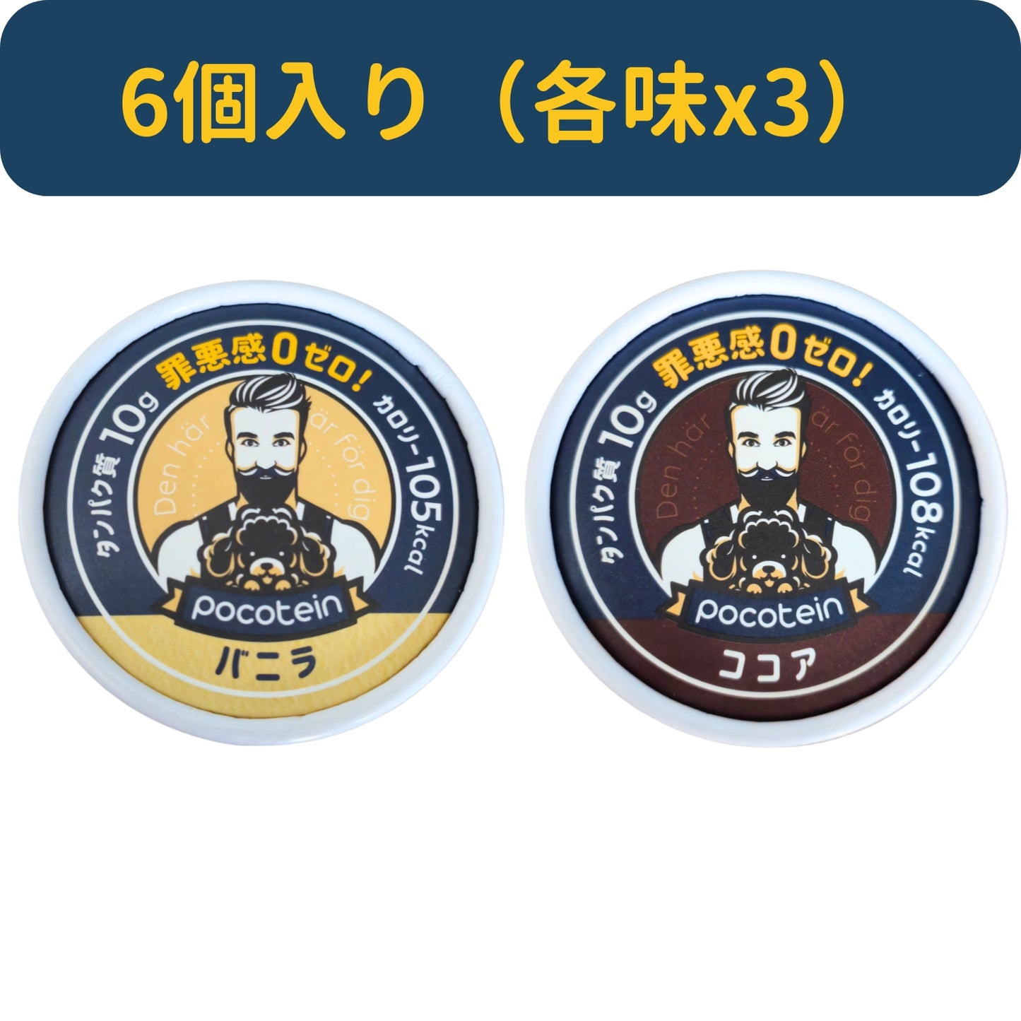 プロテインアイス ６個入り「とりあえず食べてみたい」お試しセット